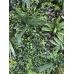 Bloom Artificial Wall Panel