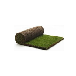 Quality Turf
